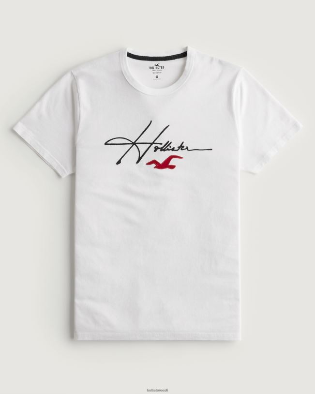 topsid mehed valge allkiri logoga graafiline tee Hollister TV08J851