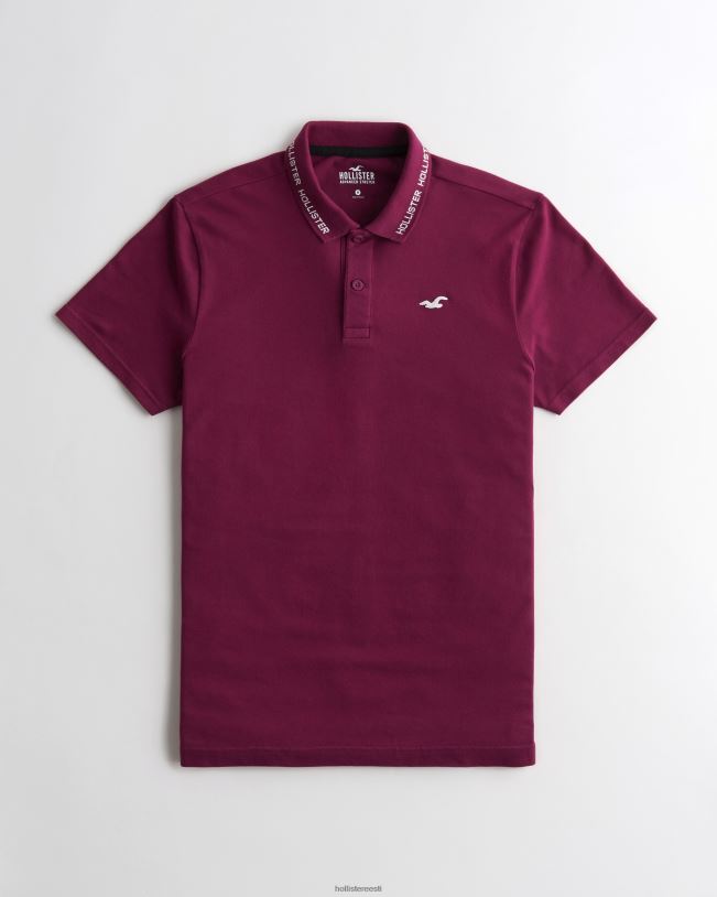 topsid mehed Burgundia logoga polo Hollister TV08J1079