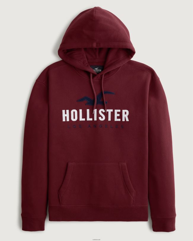 topsid mehed Burgundia logoga graafiline kapuuts Hollister TV08J988